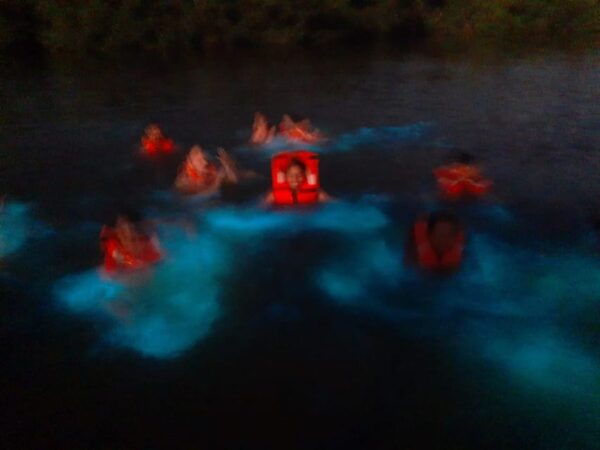 Bioluminiscence and Turtle Release Full Afternoon/Night Trip - Accessibility