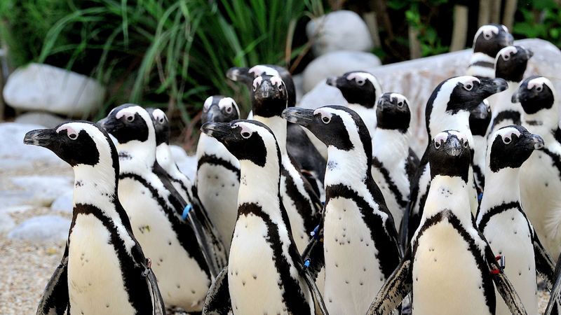 Bioparco di Roma Zoological Garden Ticket - A few rules that protect the animals