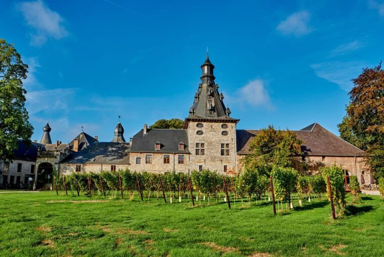 Bioul (near Dinant) : Château de Bioul Tour and Wine Tasting - FAQ