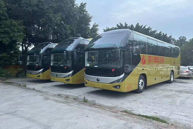 Bipenggou Scenic Express Shuttle - Transportation Details and Vehicle Types