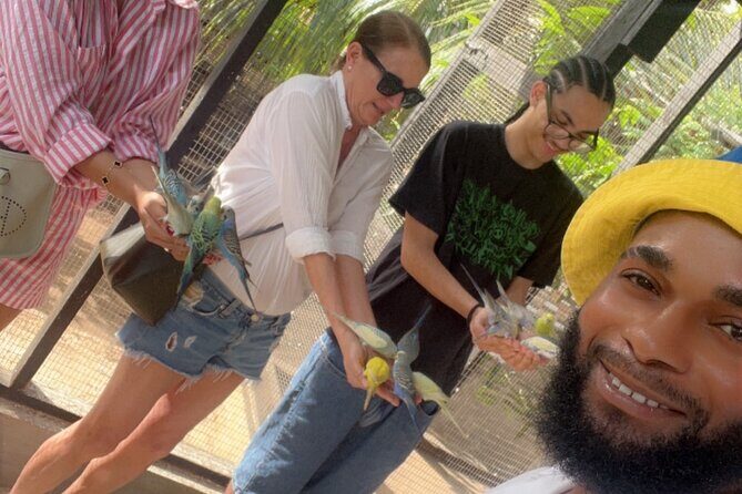 Bird & Animal Encounter in Montego Bay Feed,Hold & Snap Pics! - Good To Know