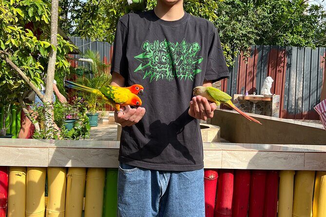 Bird & Animal Encounter in Montego Bay Feed,Hold & Snap Pics! - Frequently Asked Questions