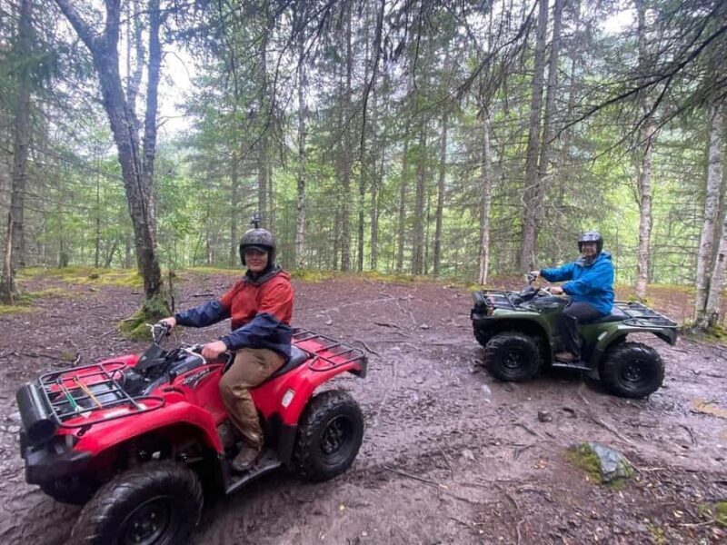 Bird Creek: Chugach State Park ATV Nature Tour & Hike - An In-Depth Look at the Tour Experience