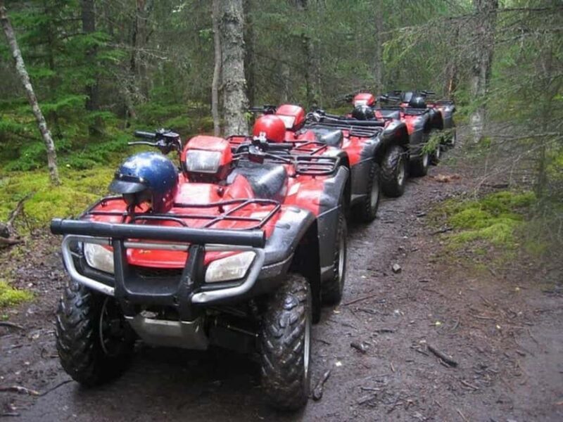 Bird Creek: Chugach State Park ATV Nature Tour & Hike - Authentic Notes Based on Reviews
