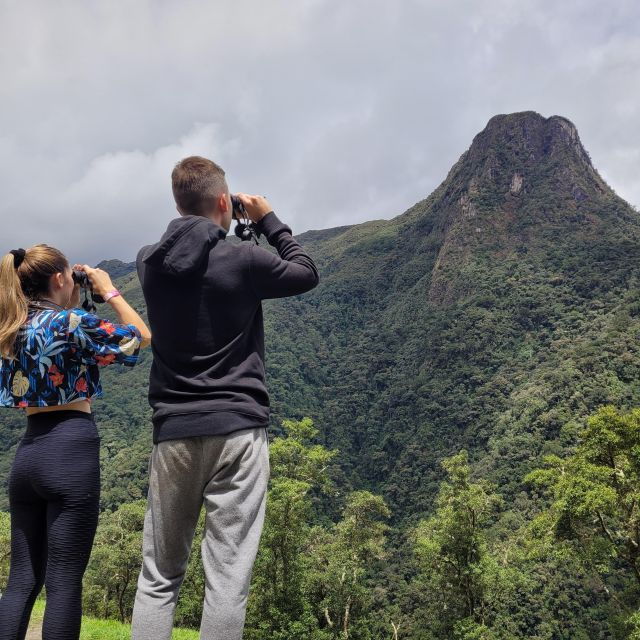 Bird-Hiking: a New Way to Discover Cocora Valley - Activity Features