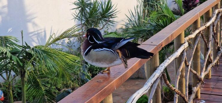 Bird Island Sweet West Tour - Experience Highlights