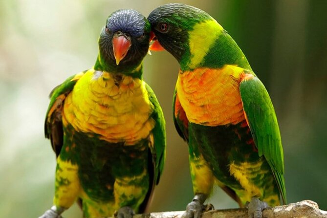Bird Paradise Singapore - Pricing and Booking Information