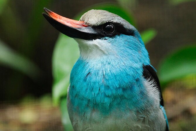 Bird Paradise Singapore - Admission Terms and Conditions