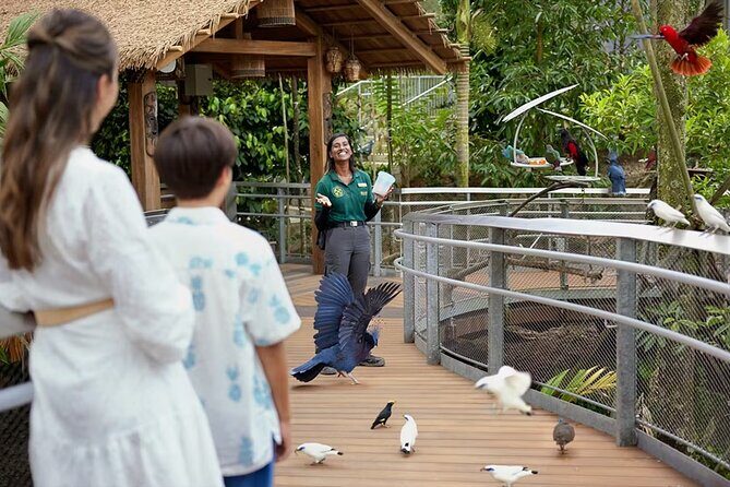 Bird Paradise Singapore Tickets - Final Thoughts: Is Bird Paradise Singapore Worth It?