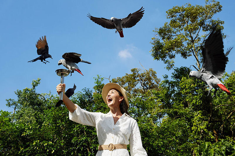 Bird Paradise Ticket | Mandai Wildlife Reserve, Singapore - Eight aviaries, eight different moods