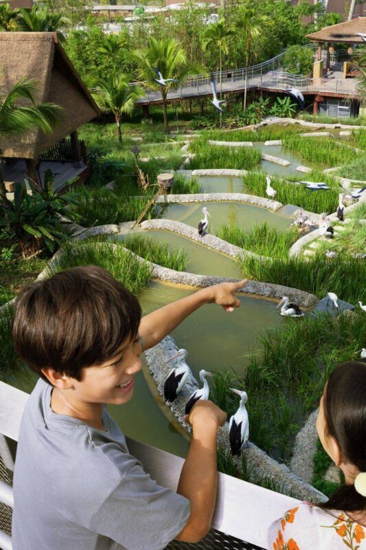 Bird Paradise Ticket | Mandai Wildlife Reserve, Singapore - Leave time for the wet-play area