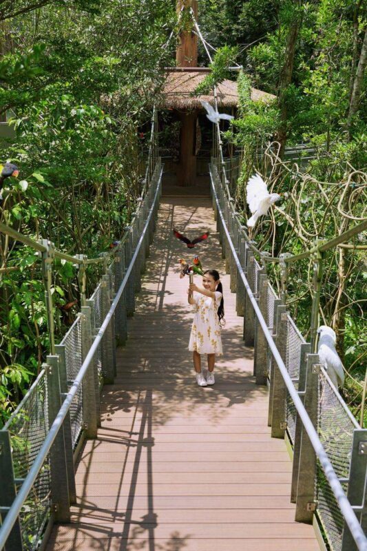 Bird Paradise Ticket | Mandai Wildlife Reserve, Singapore - Allow three to four hours, or longer
