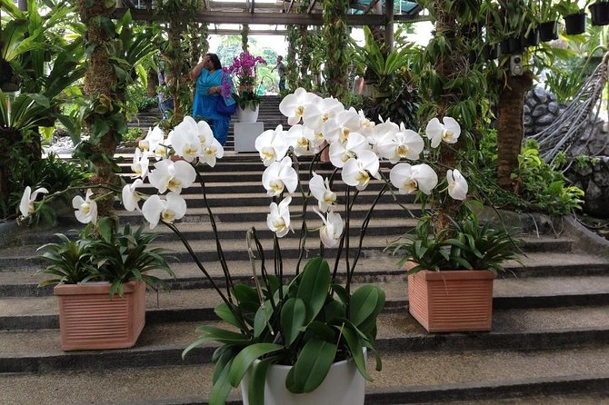 Bird Park & Butterfly Farm Nature Include All Entrance Tour From Kuala Lumpur - Whats Excluded