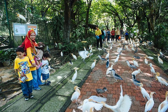 Bird Park & Butterfly Farm Nature Include All Entrance Tour From Kuala Lumpur - Additional Notes
