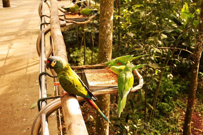 Bird Park General Admission Ticket and Tour - Ticket Details and Booking Options