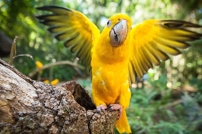 Bird Park & Iguassu Brazilian Side - Private Tour - Cancellation Policy Details