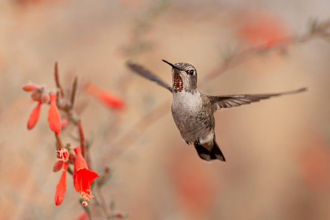 Bird Sanctuaries Tour - Inclusions