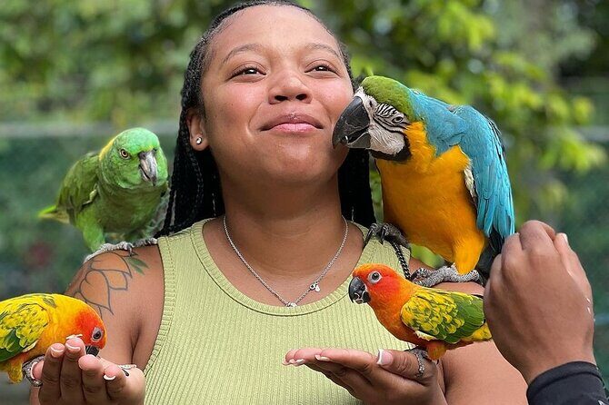 Bird Sanctuary and animal farm Day Tour - A Detailed Look at the Itinerary