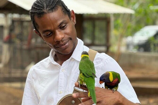 Bird Sanctuary and Montego Bay City Tour - Discover the Charm of Montego Bay with the Bird Sanctuary and City Tour