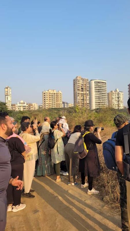 Bird Walk at Navi Mumbai - Practical Details and What to Bring