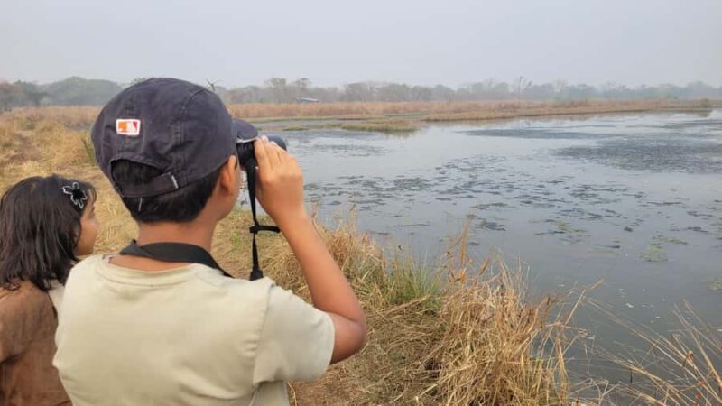 Bird Walk at Navi Mumbai - How Does This Tour Compare to Other Experiences?