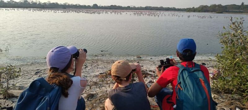 Bird Walk at Navi Mumbai - A Closer Look at the Navi Mumbai Bird Walk Experience