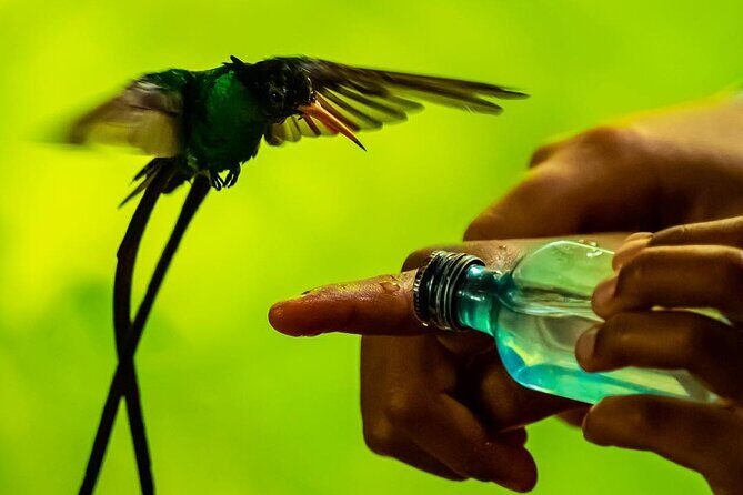 Bird Watcher's Paradise at Rockland Bird Sanctuary - Good To Know