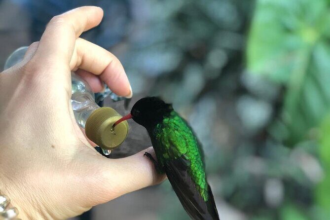 Bird Watcher's Paradise at Rockland Bird Sanctuary - Introduction to Rockland Bird Sanctuary