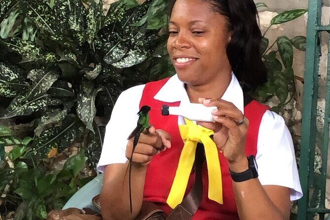 Bird Watcher's Paradise at Rockland Bird Sanctuary - Practical Details and Logistics