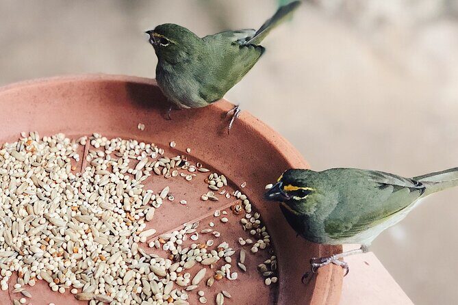 Bird Watcher's Paradise at Rockland Bird Sanctuary - Insights from Bird Watcher Reviews