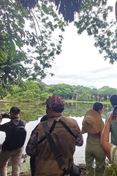 Bird Watching in Acacías Meta - Reserve Now and Pay Later