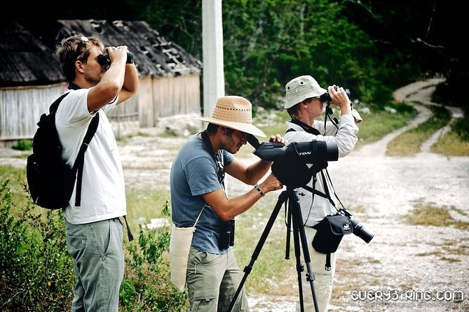 Bird Watching in Sian Kaan and Muyil Archaeological Site - The Sum Up
