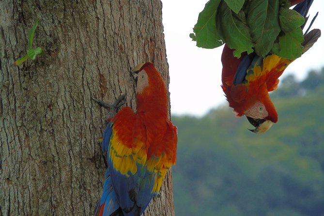 Bird Watching Tour - Inclusions and Exclusions