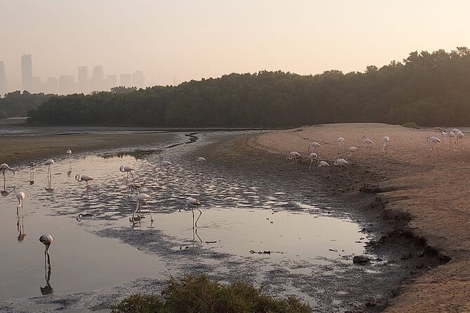 Bird Watching Tour Dubai - Cancellation Policy