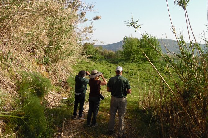 Bird Watching Tour From Kusadasi - Birdwatching at Gebekirse Lake