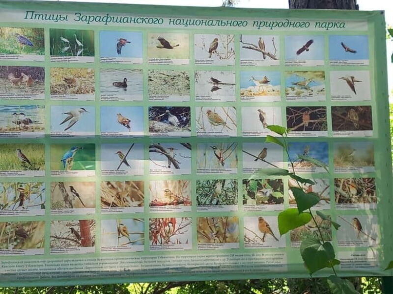 Bird Watching Tours in Samarkand - Good To Know