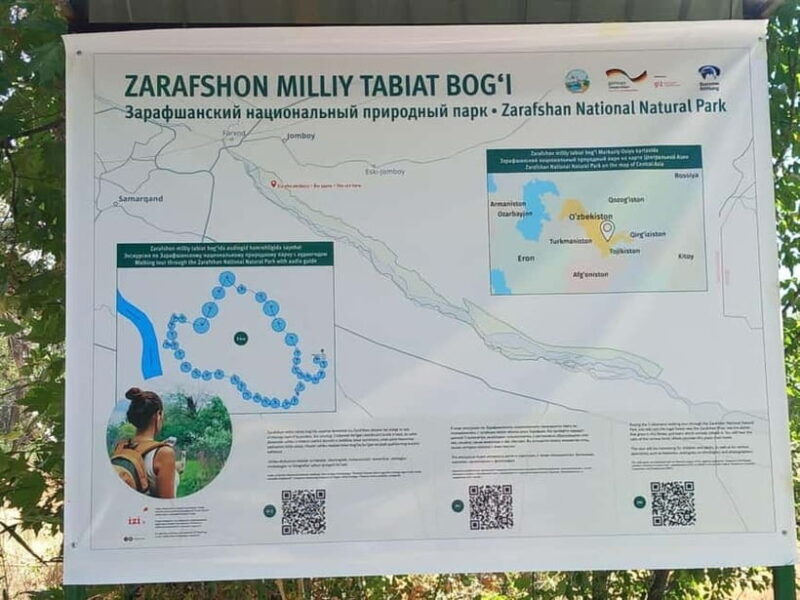 Bird Watching Tours in Samarkand - Practical Details and Value