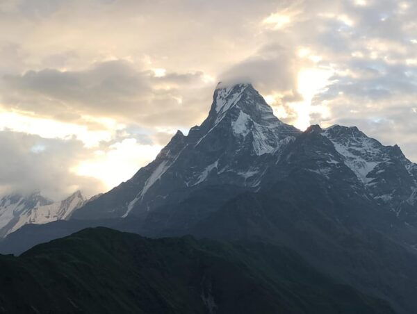 Bird Watching & Trekking: 5 Days to Mardi Himal From Pokhara - Tips for Bird Watching
