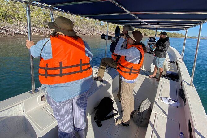 Birding By Sea and Land 4hr. La Paz Mexico - Good To Know