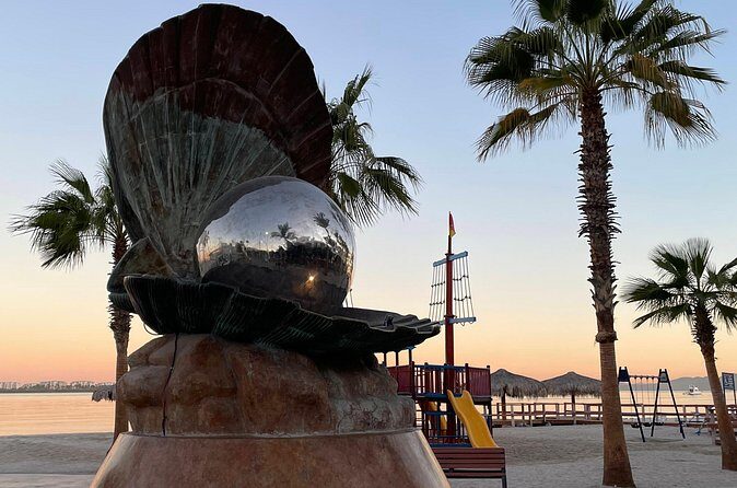 Birding By Sea and Land 4hr. La Paz Mexico - Who Should Consider This Tour?