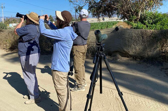 Birding By Sea and Land 4hr. La Paz Mexico - FAQ