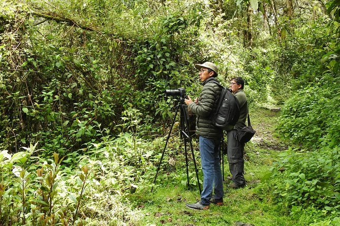 Birding in Mindo Cloud-Forest Mitad Del Mundo - Traveler Highlights