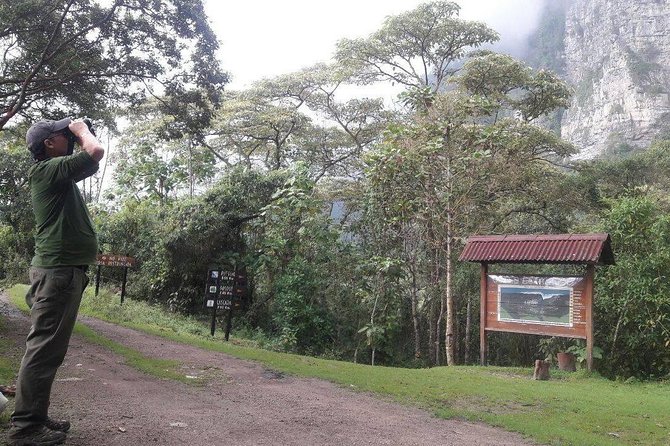 Birding & Nature to Chicaque Cloud Forest Nature Reserve - Tour Highlights