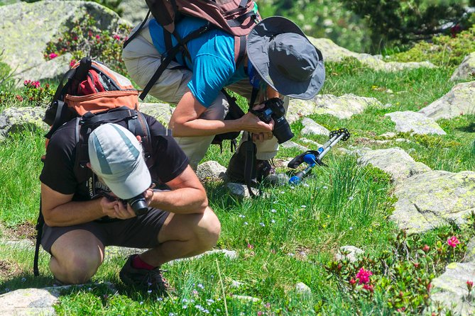 Birding Through the Ebro Valley - Cancellation Policy