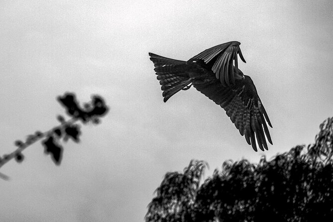 Birding Trails in Delhi - Overview of Birding Trails in Delhi