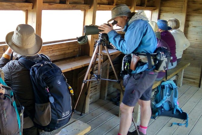 Birding Under Blue Skyes: the Great Bustard Adventure-Self-Guided Birding W/ Car - Inclusions Provided