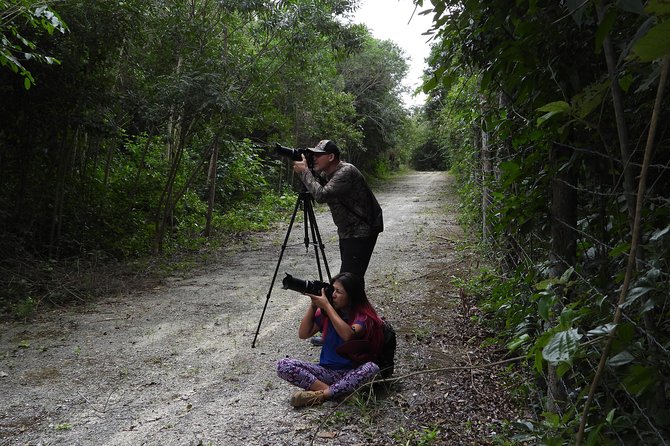 Birds of the Mayan World 2 / Route of the Cenotes - Birding Hotspots Along the Route