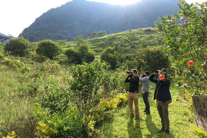 Birdwatching Adventure in Coffee Lands - Good To Know