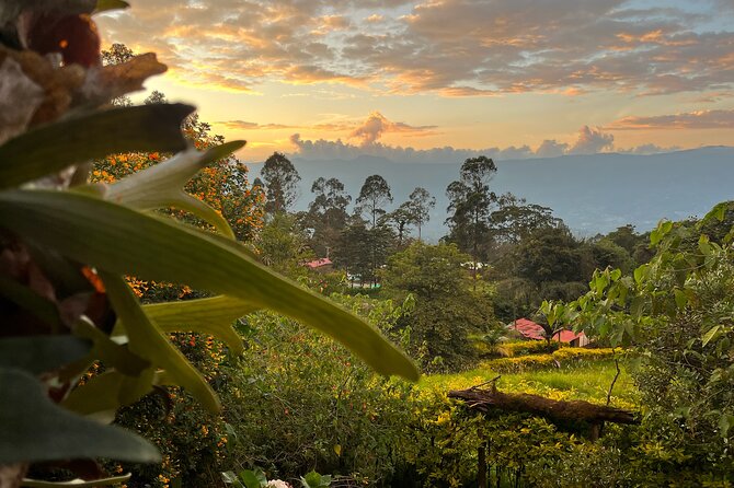 Birdwatching Adventure in Coffee Lands - Best Birdwatching Spots to Explore