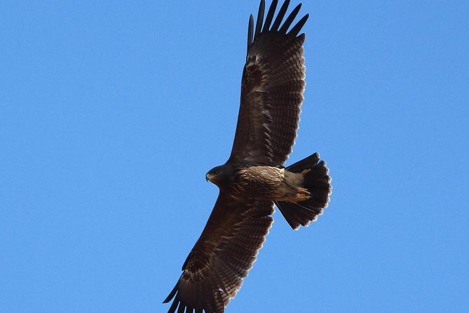 Birdwatching and cultural heritage tour from Varna - Good To Know